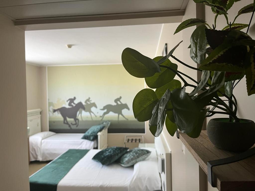 Hotel Sporting 브루케리오 외부 사진
